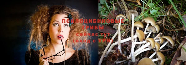 таблы Нея