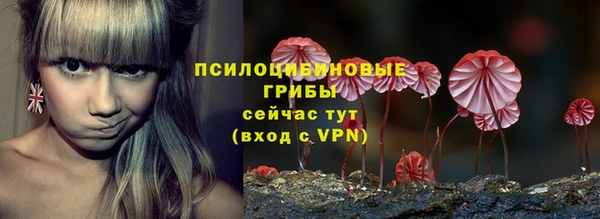 прущая мука Абаза